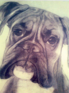 Faccia di cane