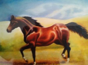 Cavallo di razza