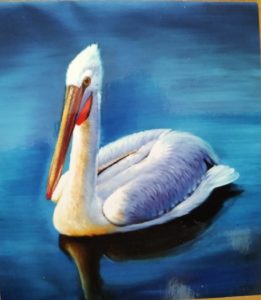 cigno